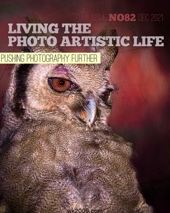 摄影艺术 Living The Photo Artistic Life-2021年-12月