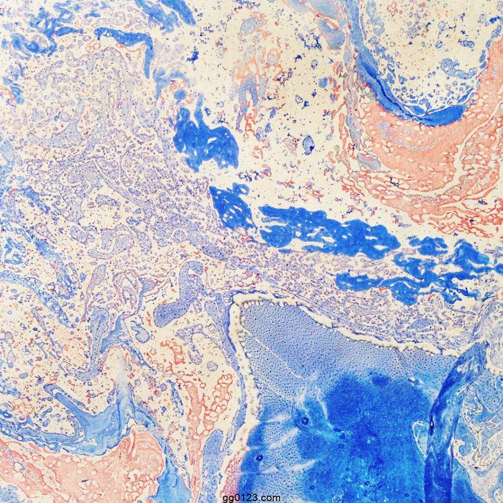 美国插画工作室 Ohkii studio 作品集插图2