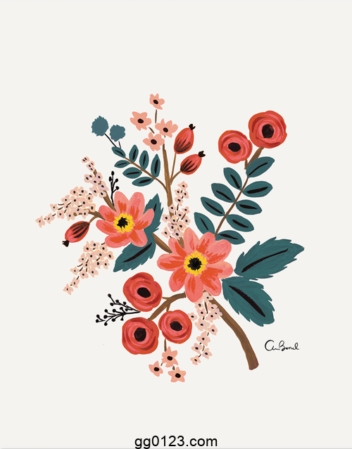 Rifle Paper Co. 花卉图案 作品集插图1