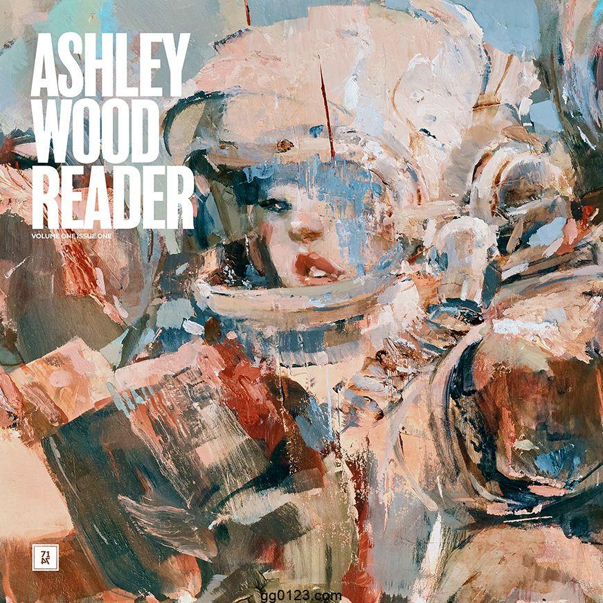 澳大利亚艺术家 Ashley Wood(阿什利·伍德) 作品集插图1