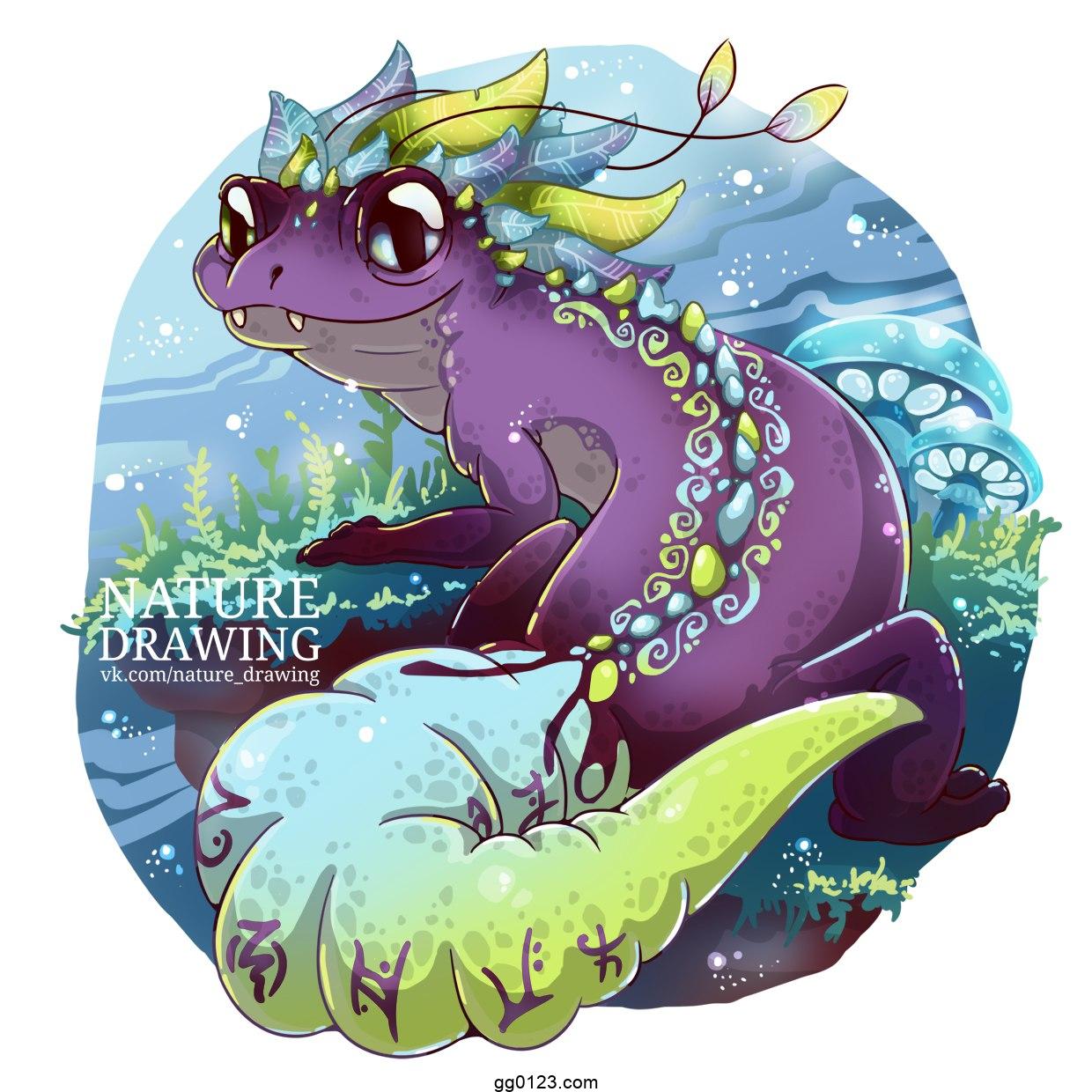Nature Drawing 可爱动物 插画集下载