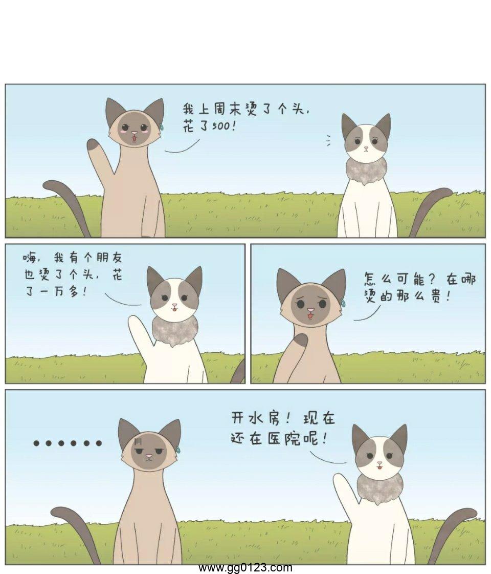 插画师 bibi动物园 可爱有趣 作品集插图1