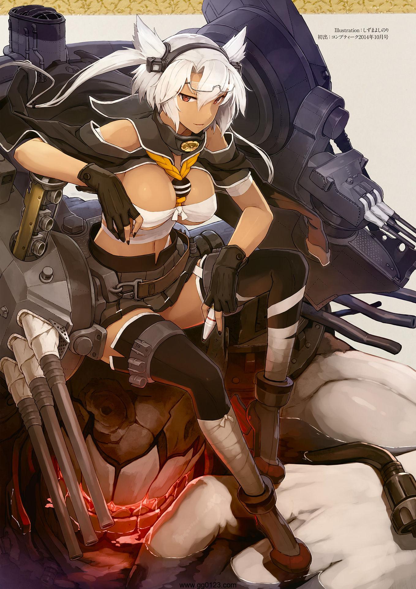 艦隊これくしょん -艦これ- 艦娘型録 弐 画集下载插图1