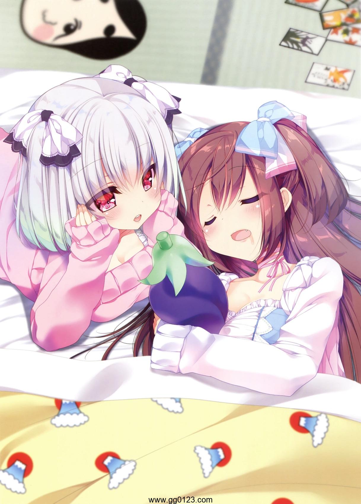 姫繰三六五 二〇一七年版 上巻 画集下载