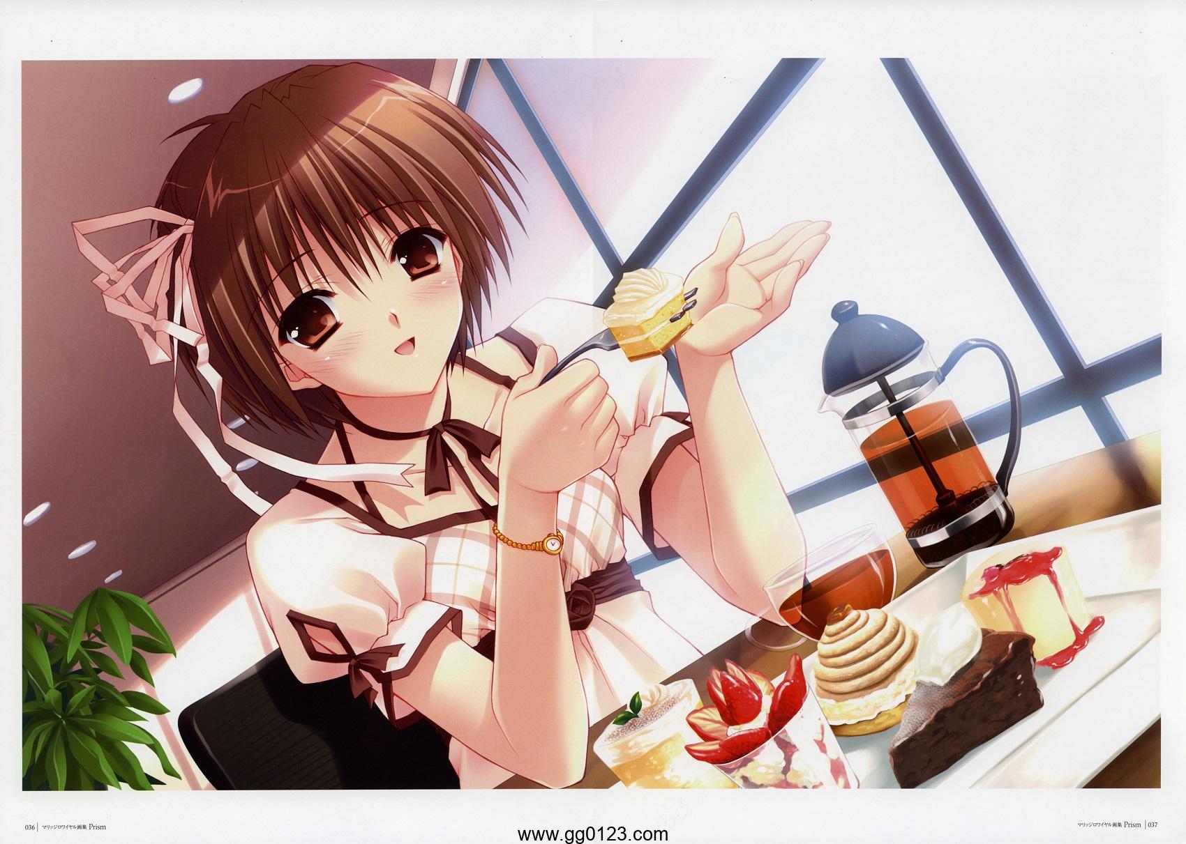 至福的花嫁 Prismマリッジロワイヤル 画集下载插图1