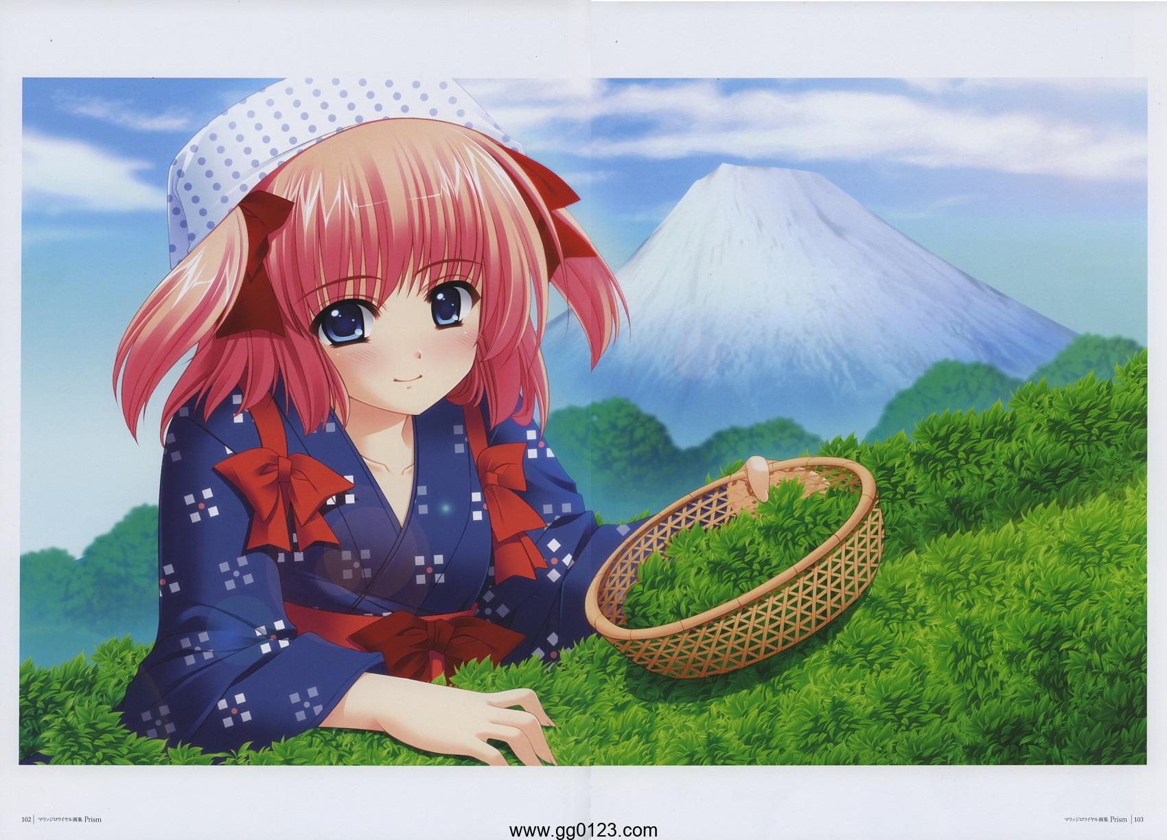 至福的花嫁 Prismマリッジロワイヤル 画集下载插图2